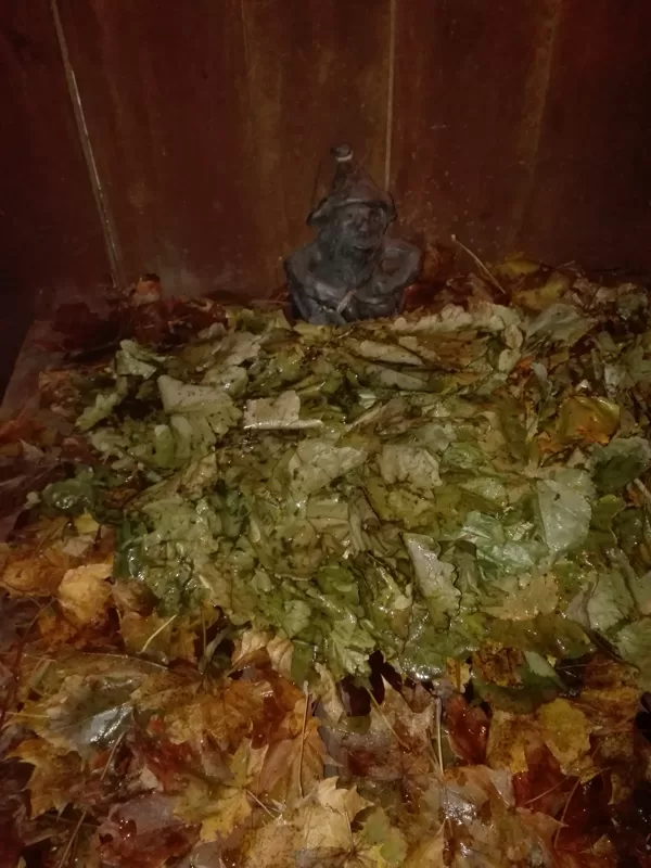 Pirts Gariņš starp kļavu lapām