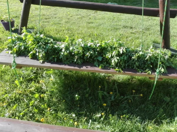 Domājam par ziemu - pavasara kārkls, ar upenīti!