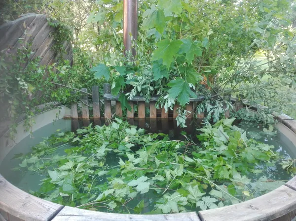 Līgonakts kubuls ar upenēm, p.s.zupa ar garšvielām, gaida gaļu...