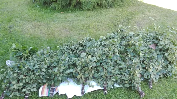 pēc pirtiņas uzņemam zemes enerģiju